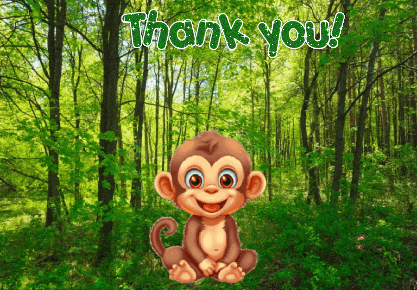 Monkey Expressions GIF