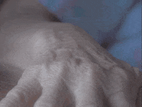 topshelfrecords blue flower guitar drums GIF