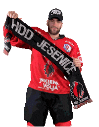 Hockey Hokej Sticker by HDD SIJ Acroni Jesenice