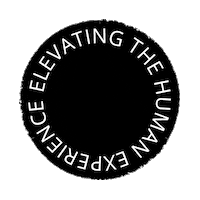 DeloitteDigitalPL human experience deloitte ehe Sticker