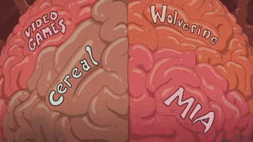 Duncan's Brain | Season 2 Ep. 2 | DUNCANVILLE