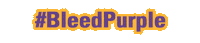 Bleedpurple Sticker by Curry College