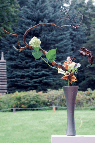 ikebanateart_do giphygifmaker ikebana ikebanateartdo 生け花 GIF