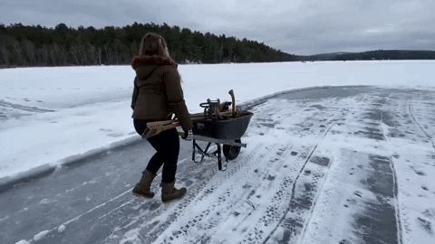 BDN_sschipani giphygifmaker GIF