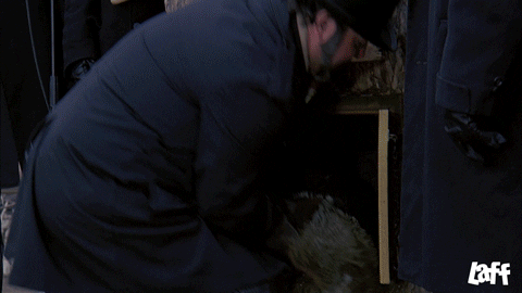 Happy Bill Murray GIF by Laff