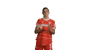 Champions League Bundesliga Sticker by FC Bayern Women