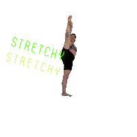 G-Force Flex Sticker by GFORCEPOLEANDFITNESS