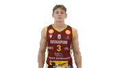 Hoops Koripallo Sticker by Basket_fi