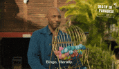 Bingo Dad Joke GIF by Death In Paradise
