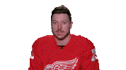 Red Wings Sport Sticker by Detroit Red Wings