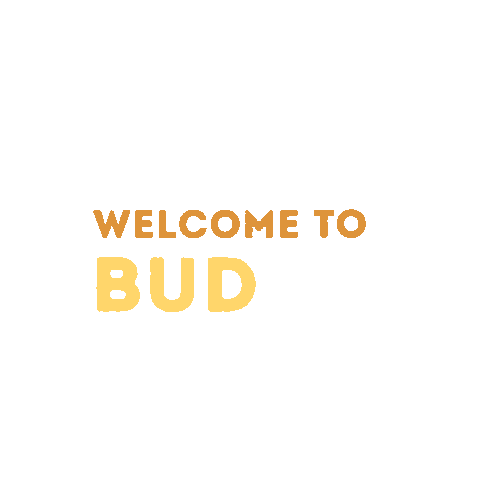 budapestairport utazas budapestairport reptér budgifs Sticker