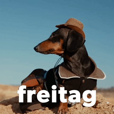 German GIF by Sealed With A GIF