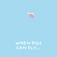 Flying Pig GIF by PositivelyPigasus
