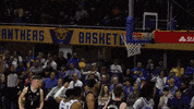 Excited College Sports GIF by Pitt Panthers