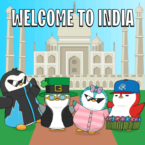 New Delhi India GIF by Pudgy Penguins