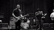 Rock Concert GIF by Ghost Hounds