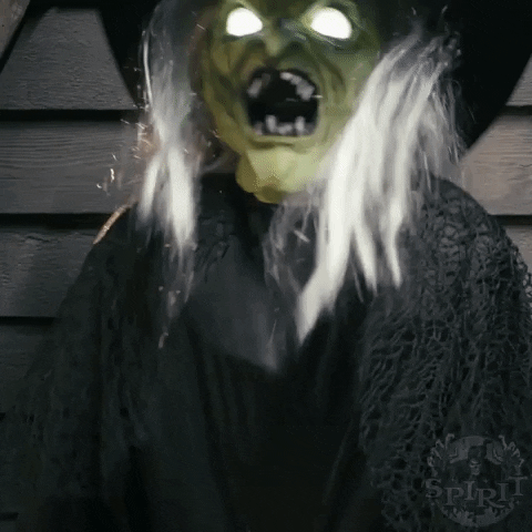 witch GIF by Spirit Halloween