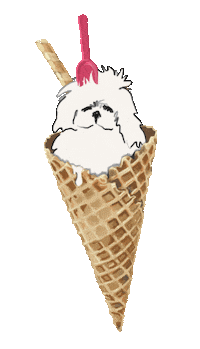 neusneve neusneve cucurutxo Sticker