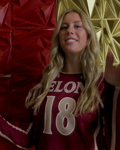 Elon Volleyball GIF by Elon Phoenix