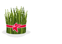 Bahar Novruz Sticker by Bakcell