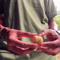 Breakfast Dumplings GIF