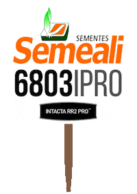 Semeali Sticker by semealisementes