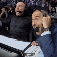 Surprise What GIF