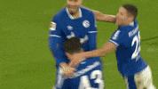Happy Football GIF by FC Schalke 04