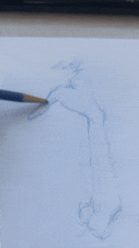 Blue Lines Hair GIF by Alex Boya
