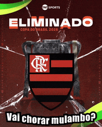 Copa Do Brasil Vice GIF