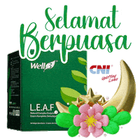 Ramadan Islam Sticker by CNI