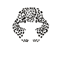 ladroguerie abc jaguar ladroguerie la droguerie Sticker