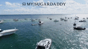 Sugar Daddy Beach GIF by M|SD Official