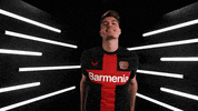Excited Bayer 04 GIF by Bayer 04 Leverkusen