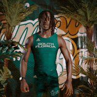 South Florida Horns Up GIF by USF Athletics