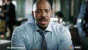 Season 24 Nbc GIF by Law & Order