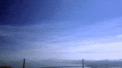 san francisco water GIF by The Room