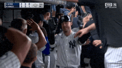 New York Yankees Sport GIF by MLB