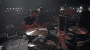 Live Music Rock GIF by I The Mighty