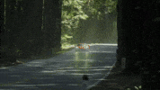 Need For Speed Corvette GIF by jesse_iwuji
