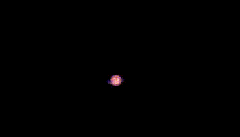 carmenperezflores giphyupload brown dwarf enana marrn GIF