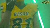 North Dakota State Hands GIF by NDSU Athletics
