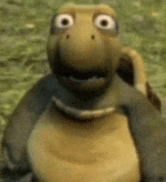 Shock Wtf GIF
