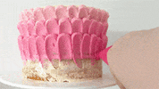 cake GIF