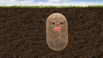 Potatoman GIF by Simon & Associates