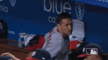 Regular Season Sport GIF by MLB