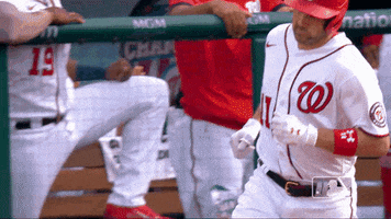 Regular Season Sport GIF by MLB