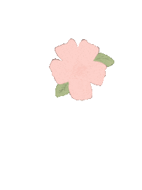 Summer Flower Sticker by Clothes & Water