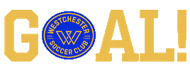 westchestersc football soccer win futbol Sticker