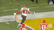 Super Bowl Football GIF by NFL